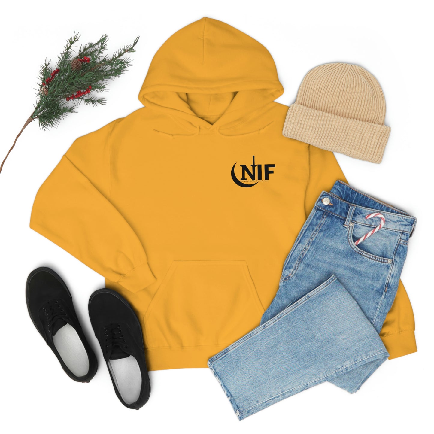 CNIF Christian Nationalism is Fascism (dark font) Unisex Heavy Blend™ Hooded Sweatshirt
